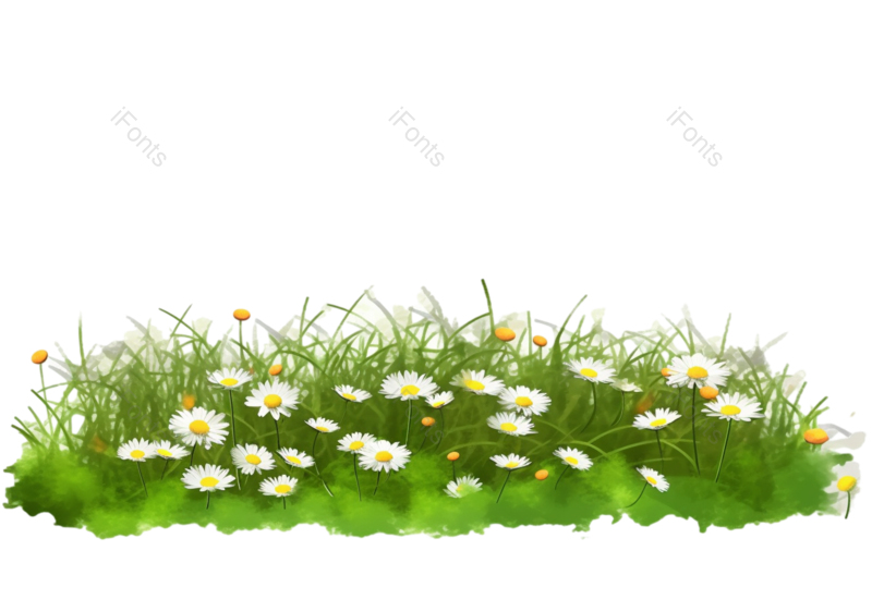 元素图片,卡通元素,雏菊PNG,小雏菊免抠素材